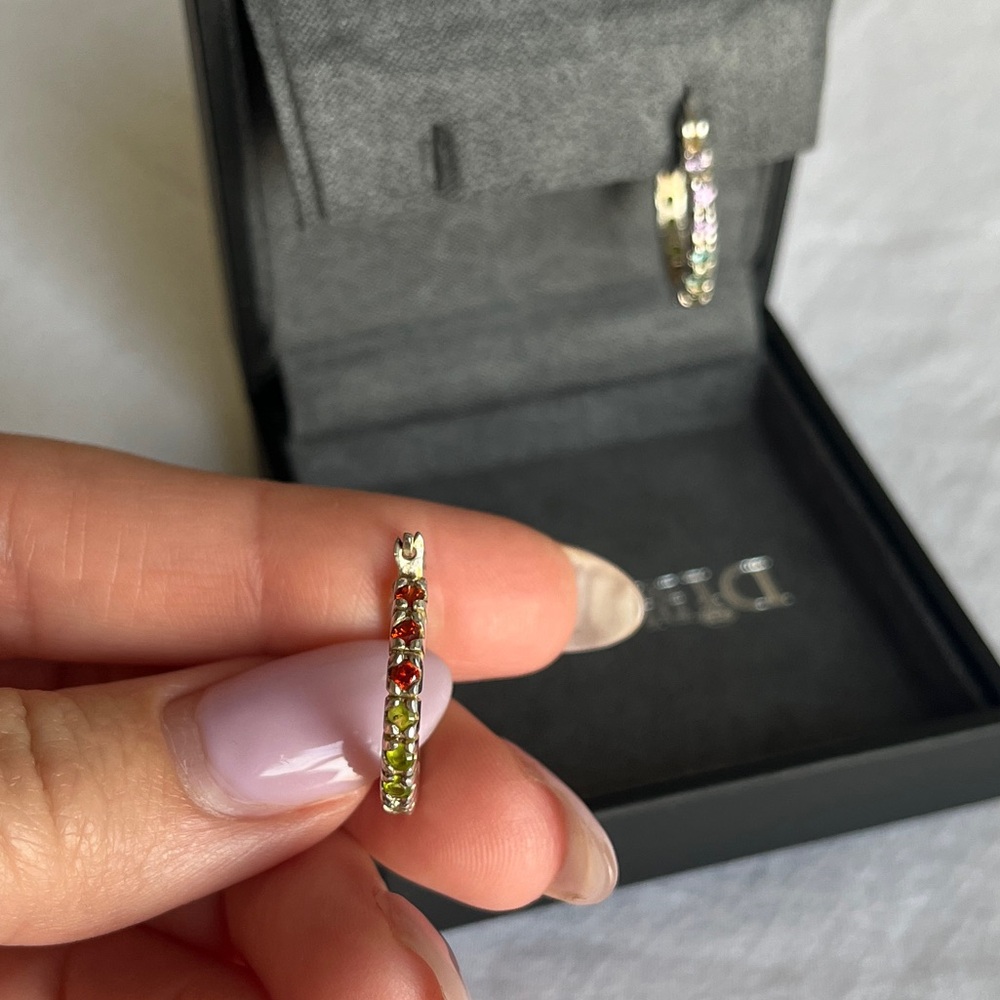 Sterling Silver Rainbow Hoops View 5